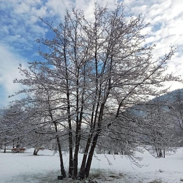 Appartamento Ca' Stravaganza Bieno  Esterno foto